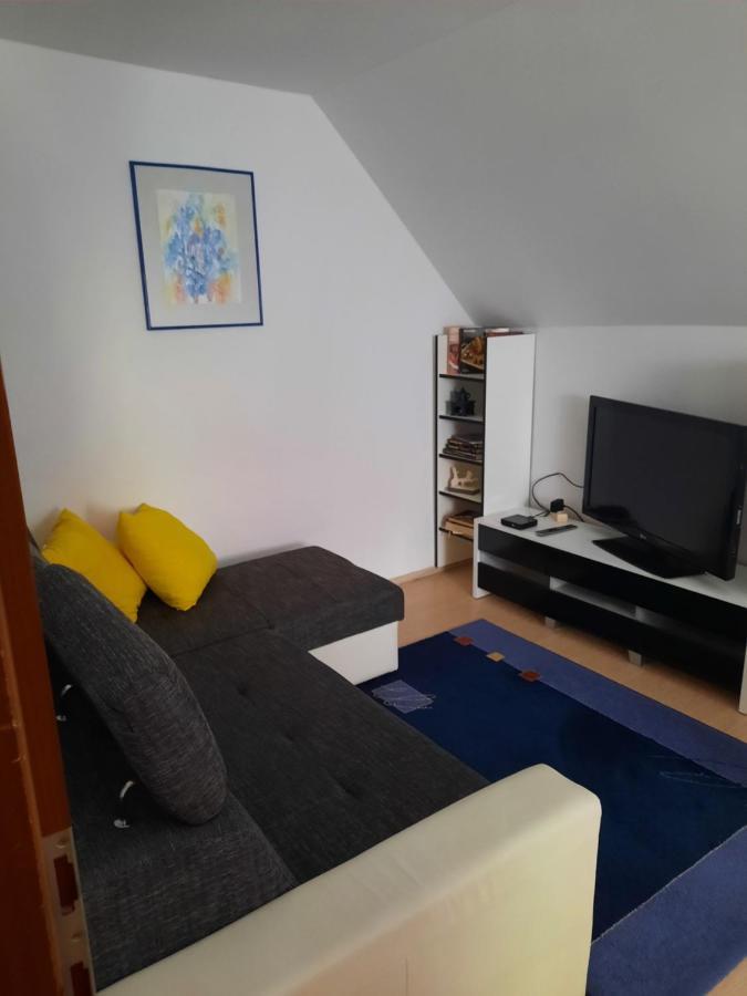 Sobe Tanja Appartement Podbrdo Buitenkant foto